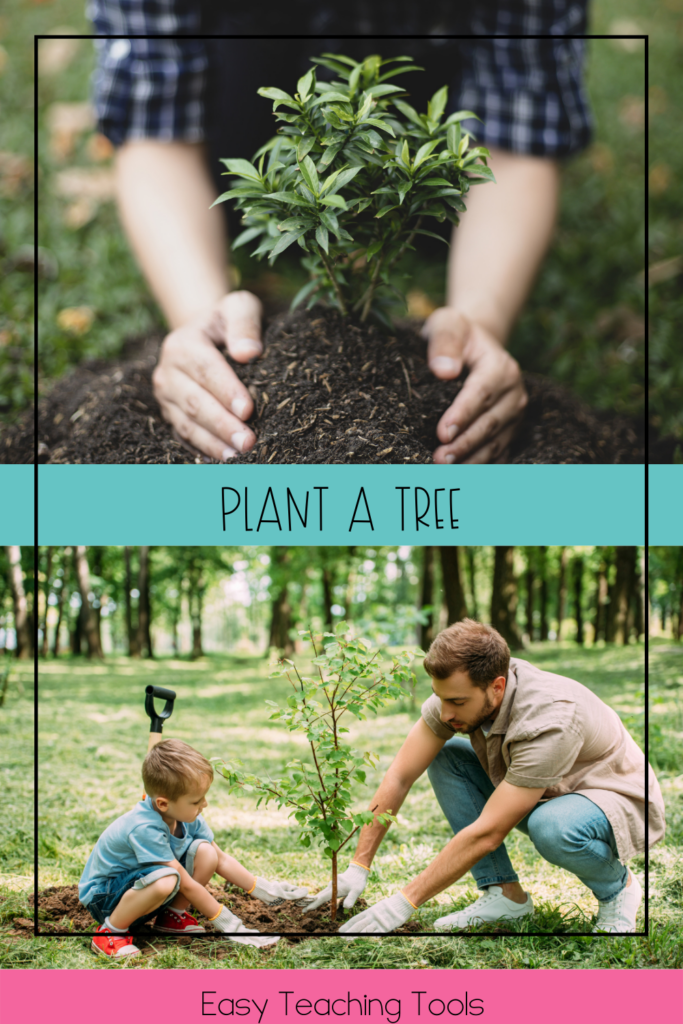 Planting a tree is a great way to take care of the Earth. 